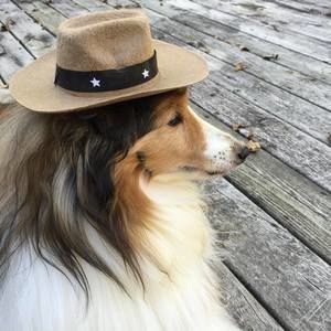 Meet your Posher, Kristi